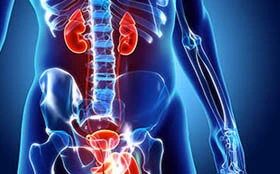 Прием врача уролога в санаторий Сарыагаш Ақ Тілек