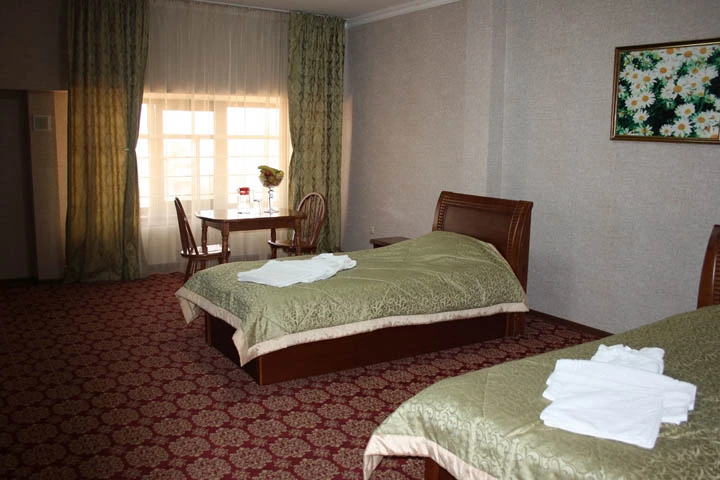 Санаторий Казахстан KZ. Стандарт номер Санаторий Казахстан KZ. Стандарт номер