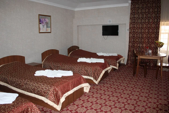 Санаторий Казахстан KZ. Стандарт номер Санаторий Казахстан KZ. Стандарт номер